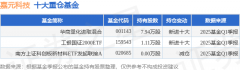 5月27日嘉元科技涨521%华商量化进取混合基金重仓
